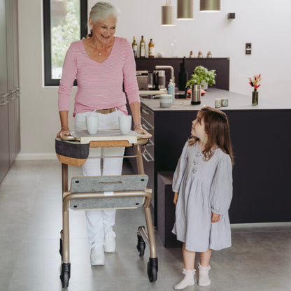 Saljol Wohnraumrollator WR55