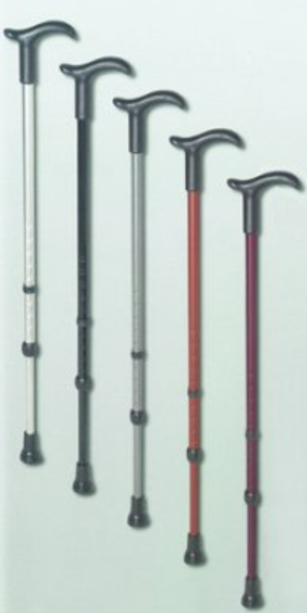 Gehstock SIMPLEX mit Fritzgriff